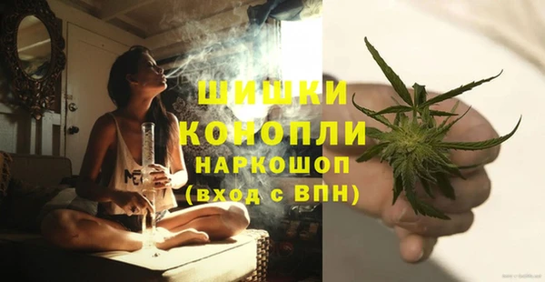 ГАЛЛЮЦИНОГЕННЫЕ ГРИБЫ Богданович