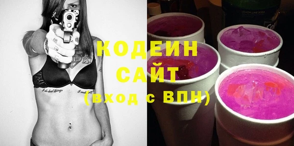 ГАЛЛЮЦИНОГЕННЫЕ ГРИБЫ Богданович