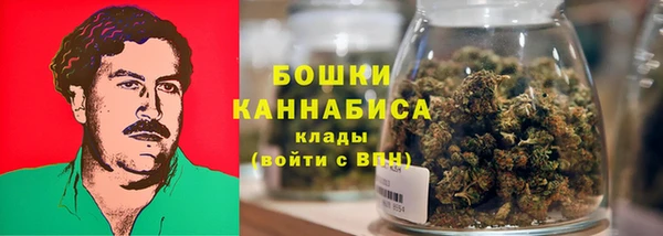ГАЛЛЮЦИНОГЕННЫЕ ГРИБЫ Богданович