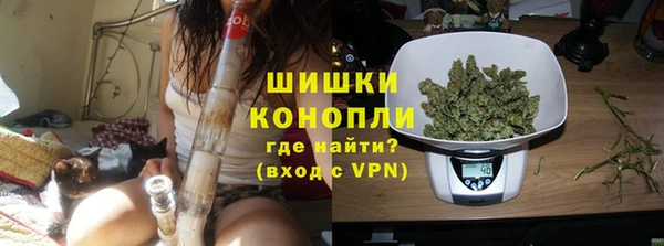 ГАЛЛЮЦИНОГЕННЫЕ ГРИБЫ Богданович