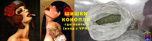 ГАЛЛЮЦИНОГЕННЫЕ ГРИБЫ Богданович