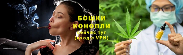 ГАЛЛЮЦИНОГЕННЫЕ ГРИБЫ Богданович