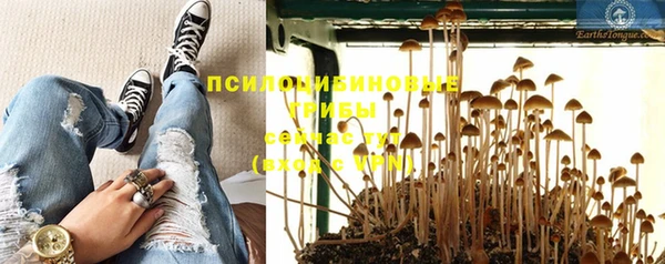 MDMA Богородск