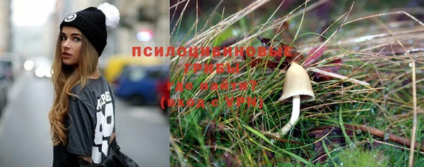 ГАЛЛЮЦИНОГЕННЫЕ ГРИБЫ Богданович