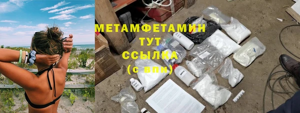 ГАЛЛЮЦИНОГЕННЫЕ ГРИБЫ Богданович