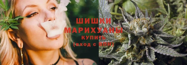 твердый Пересвет
