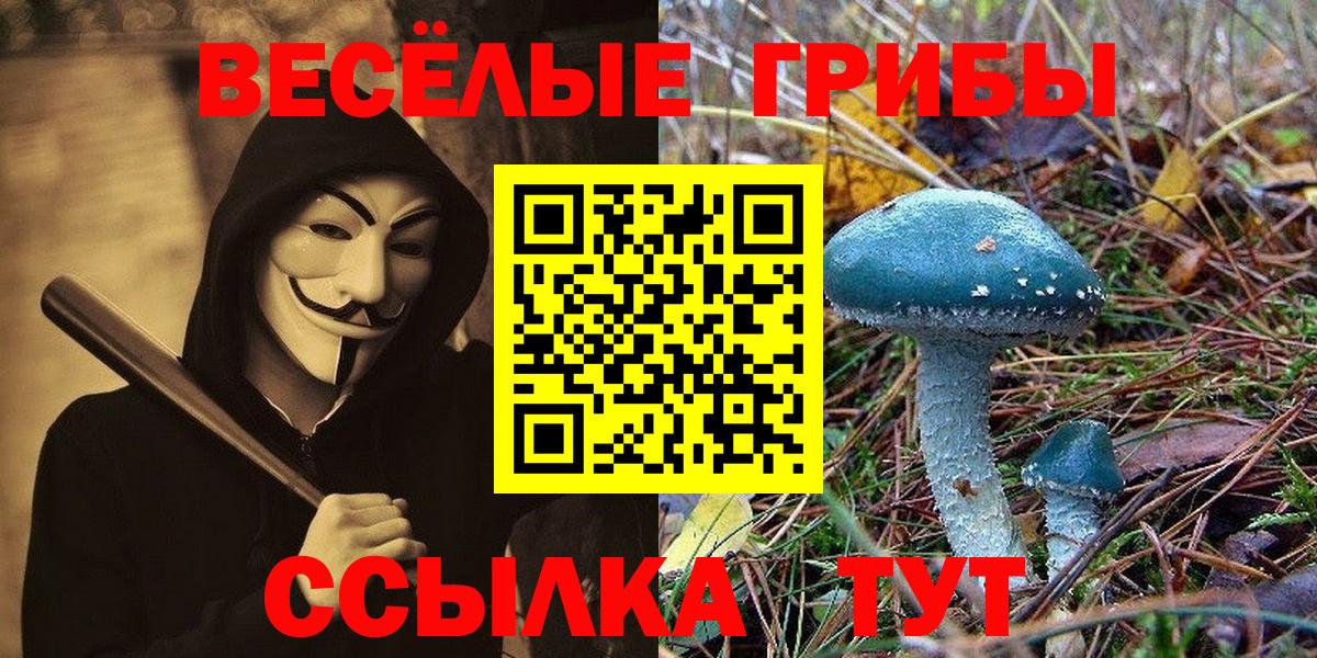 даркнет сайт  Вход с VPN  Среднеуральск  Галлюциногенные грибы MAGIC MUSHROOMS 